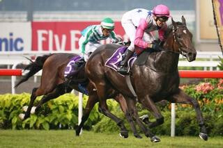 Debt Collector extends spectacular winning streak by claiming the Group 1 Singapore Guineas. Photo Credit: Singapore Turf Club.